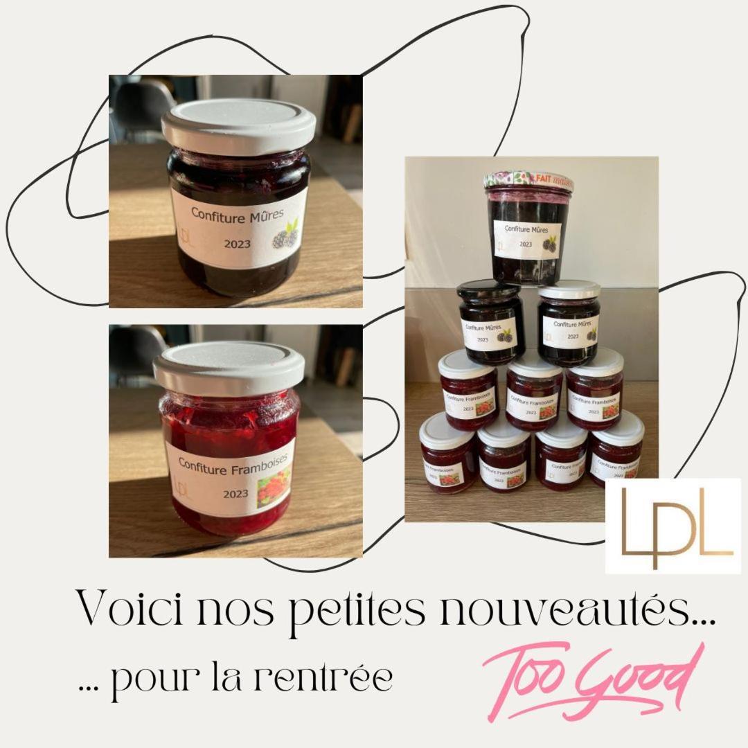 مبيت وإفطار Bessines Logis De Pierre Levee المظهر الخارجي الصورة
